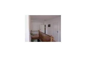 Pleśń na ścianach