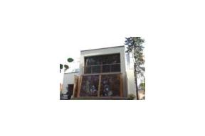 Zieleń zimą w domowym ogrodzie