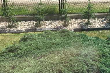 Stwórz wymarzony ogród z pomocą obrzeży i krawężników