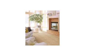 Domowe ognisko z Nową Galą