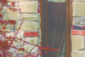 Moskitiera – nasza broń w walce z owadami i nie tylko... 