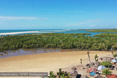 Grupa VELUX we współpracy z WWF ogłasza dwa nowe projekty dotyczące ochrony klimatu i przyrody w Wietnamie i na Madagaskarze.