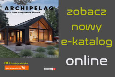 Katalog "Domy proste i tanie w budowie" - zobacz online