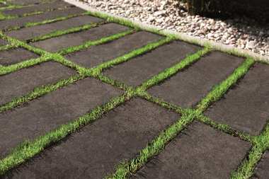 Czysta forma surowego betonu