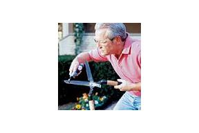 Przygotuj ogród do sezonu letniego