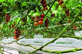 Nowa inwestycja Rockwool w Polsce 