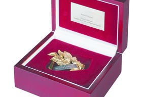 Platynowy Laur Umiejętności i Kompetencji dla Prezesa FAKRO