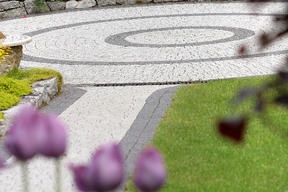 Wiosna przyjdzie szybciej niż myślisz