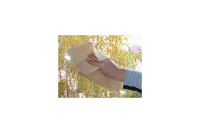 Oknem wpuść wiosnę