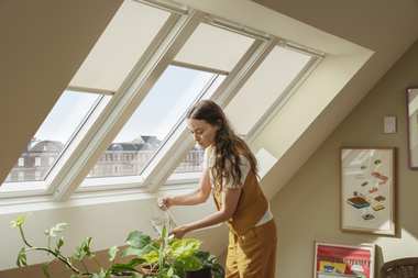Nowa kolekcja rolet VELUX inspirowana naturą 