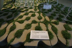 Stream Line firmy Libet wyróżniona w plebiscycie must have