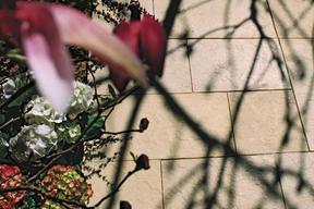 Pielęgnacja i konserwacja kostki brukowej - nawierzchnia po zimie