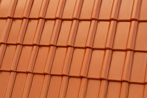 Rewolucyjna nowość w ofercie Röbena