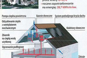 LUMINA w tygodniku „Polityka”
