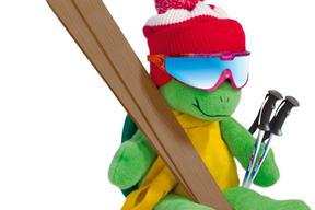 Już po raz trzeci europejscy dekarze – narciarze spotkali się na stoku Jaworzyny Krynickiej (9-12 lutego 2012)