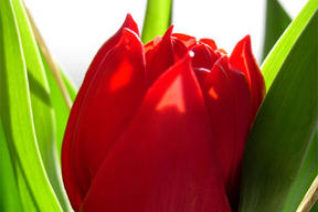 (ty)Dzień Kobiet w Pracowni Projektowej ARCHIPELAG – 8% na 8 marca! 