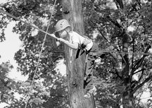 Festyn to bezpieczna zabawa dla wszystkich