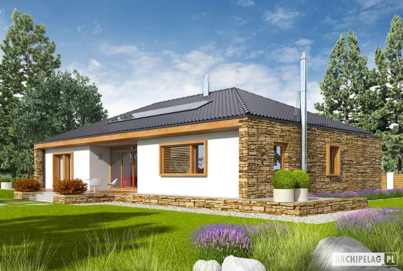 Projekt domu EX 8 G2 (wersja B) soft - wizualizacja ogrodowa