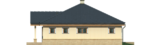 Harold - Projekty domów ARCHIPELAG - Harold - elewacja prawa