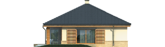 Harold - Projekty domów ARCHIPELAG - Harold - elewacja lewa