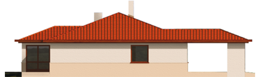 Nara - Projekt domu Nara (z wiatą) - elewacja prawa