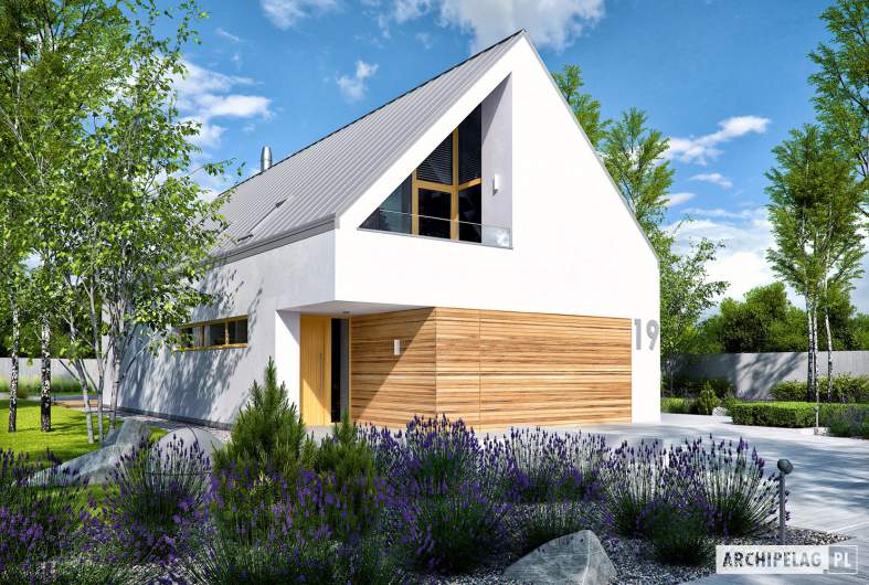 Projekt domu EX 19 II G2 ENERGO PLUS - wizualizacja frontowa