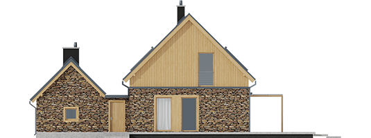 EX 16 II G1 Soft - Projekt domu EX 16 II G1 - elewacja tylna