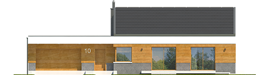 EX 11 G2 D Soft - Projekt domu EX 11 G2 (wersja D) soft - elewacja frontowa