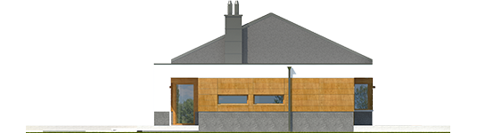 EX 11 G2 D Soft - Projekt domu EX 11 G2 (wersja D) soft - elewacja lewa