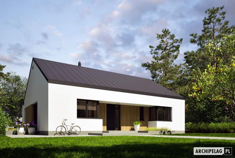 Projekt domu Mini 24 PLUS - wizualizacja frontowa