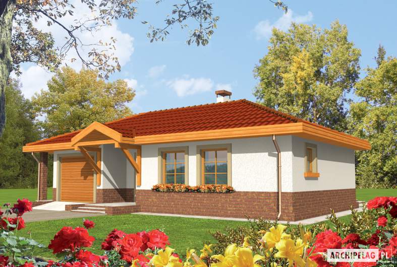 Projekt domu Erato G1 - 