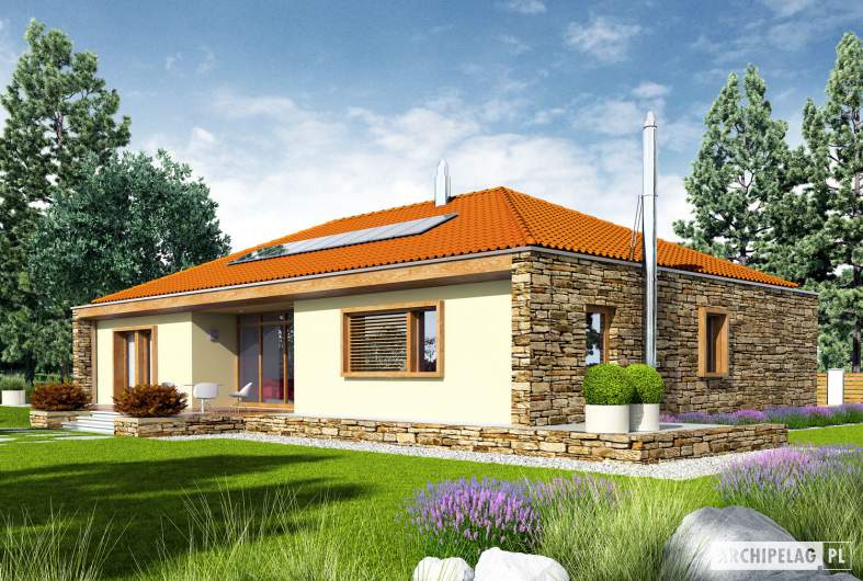 Projekt domu EX 8 G2 (wersja D) - wizualizacja ogrodowa