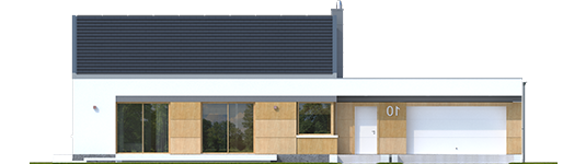 EX 11 G2 C Soft - Projekt domu EX 11 G2 (wersja C) soft - elewacja frontowa