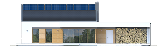 EX 11 G2 C Soft - Projekt domu EX 11 G2 (wersja C) soft - elewacja tylna