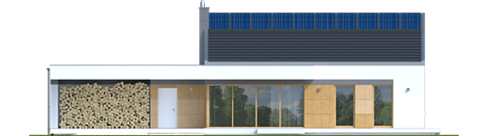 EX 11 G2 C Soft - Projekt domu EX 11 G2 (wersja C) soft - elewacja tylna