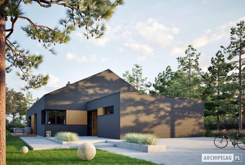 Projekt domu Daniel IX G2 ENERGO PLUS - wizualizacja frontowa
