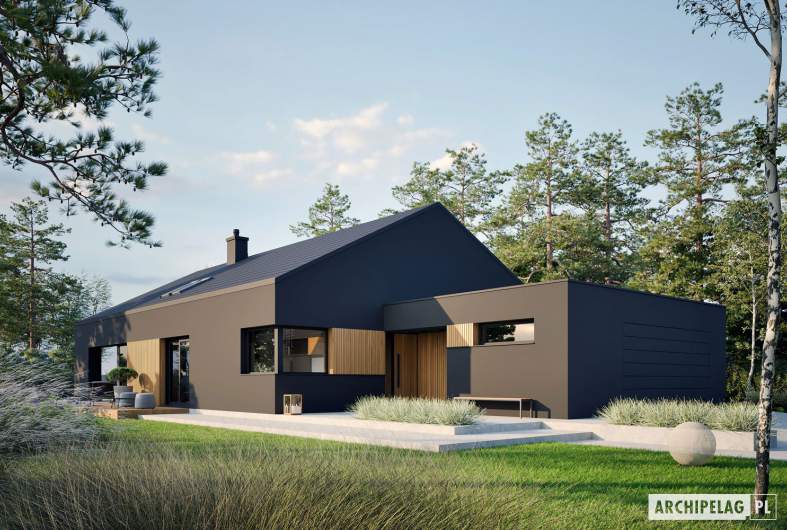 Projekt domu Daniel IX G2 ENERGO PLUS - wizualizacja frontowa