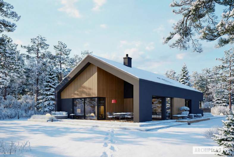 Projekt domu Daniel IX G2 ENERGO PLUS - wizualizacja ogrodowa nocna