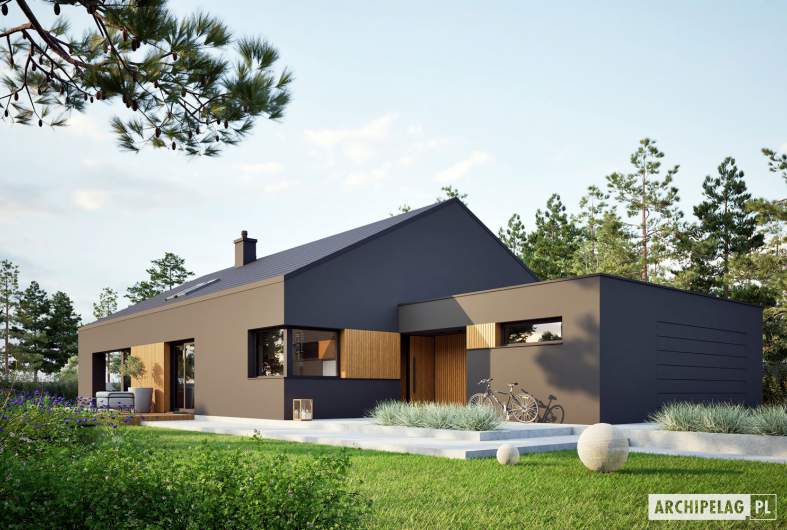 Projekt domu Daniel IX G2 ENERGO PLUS - wizualizacja frontowa