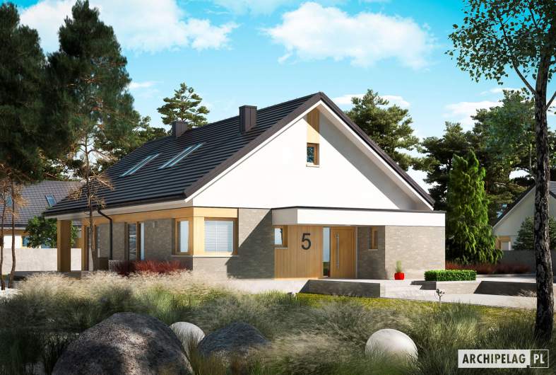 Projekt domu Daniel IV - wizualizacja frontowa