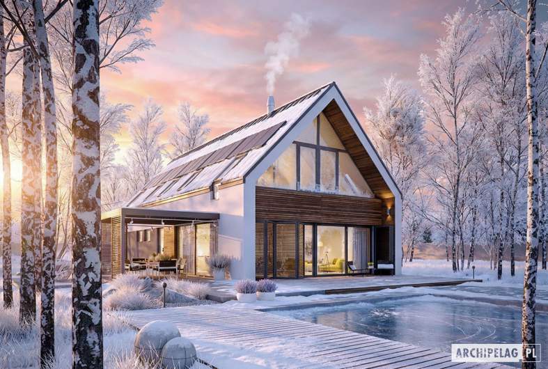 Projekt domu EX 19 G2 ENERGO PLUS - wizualizacja ogrodowa zimowa