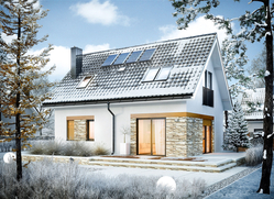 Projekt Witek