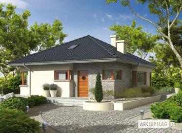 Projekt: Tori II