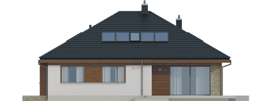 Flow II - Projekt domu Flo II - elewacja tylna