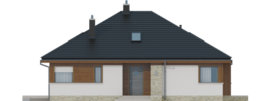 Flow II - Projekt domu Flo II - elewacja frontowa