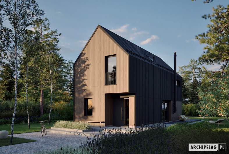 Projekt domu Moniczka IV (wersja B) - wizualizacja frontowa