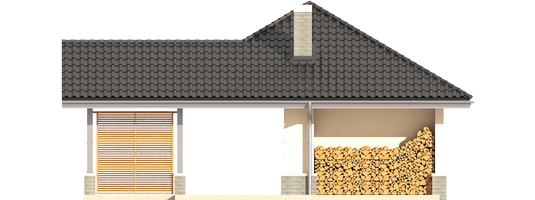 AA G25 II - Projekt garażu G25 (w. II) - elewacja tylna