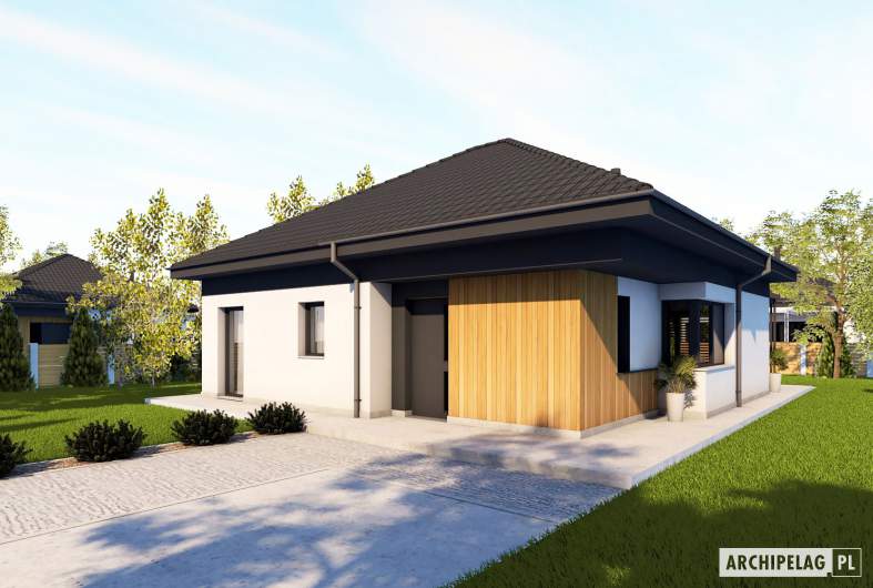 Projekt domu Mini 20 (wersja A) PLUS - wizualizacja frontowa