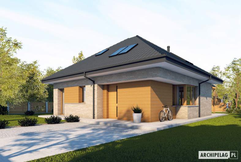 Projekt domu Mini 20 (wersja B) PLUS - wizualizacja forontowa