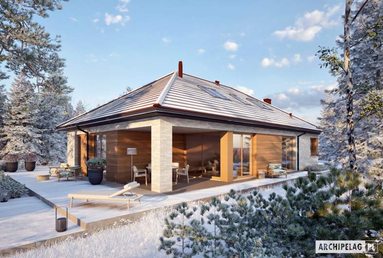 Projekt domu Daniel XI G2 - wizualizacja ogrodowa zimowa